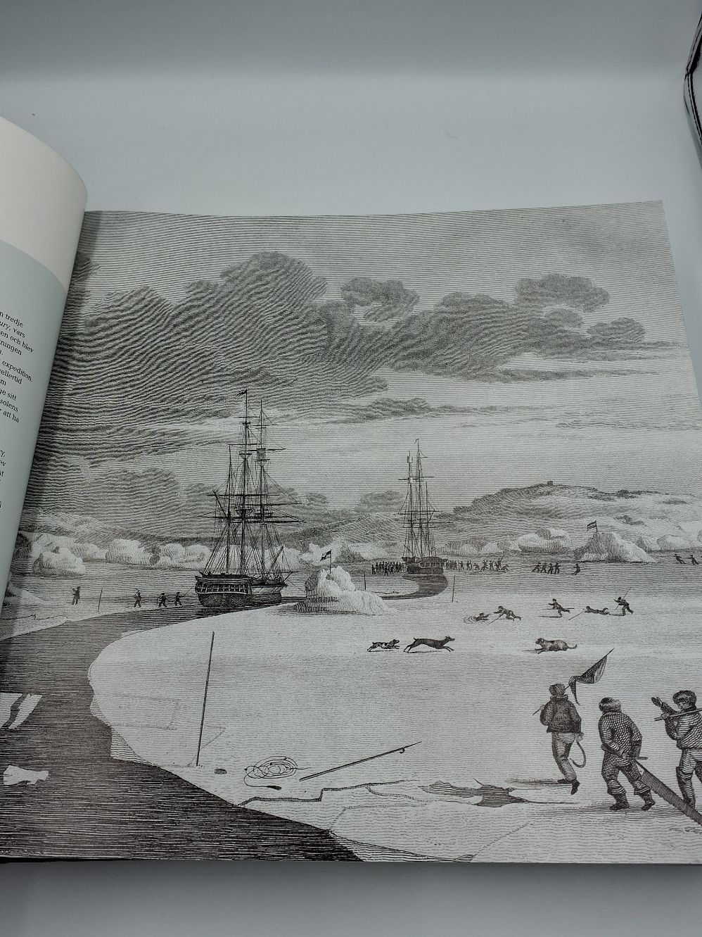 Arctica bogen