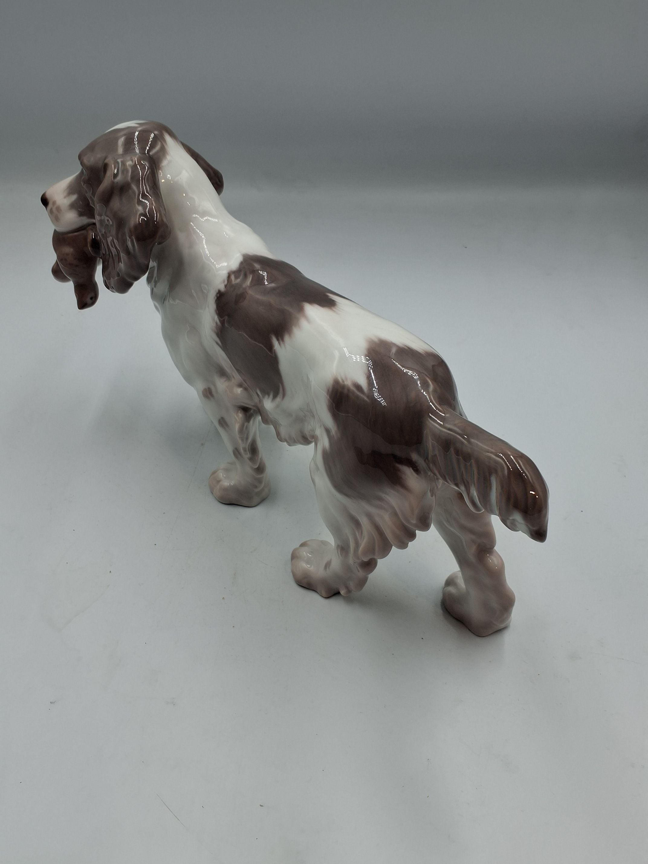 B&G Hund 2061