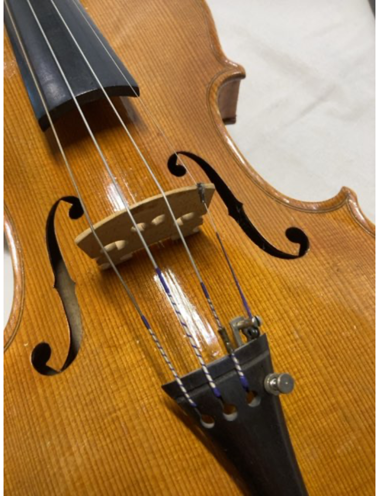 Violin