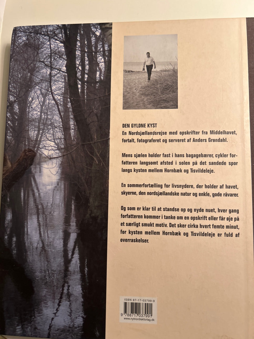 Den gyldne kyst af Anders Grøndahl