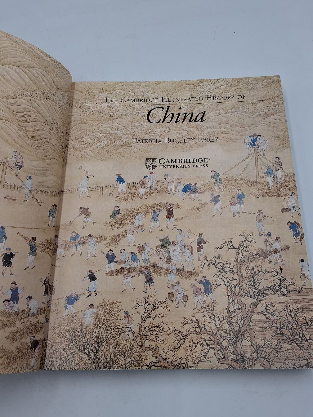 Cambridge Illustrated History China