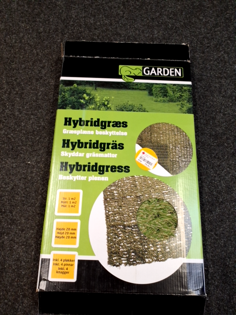 Hybridgræs