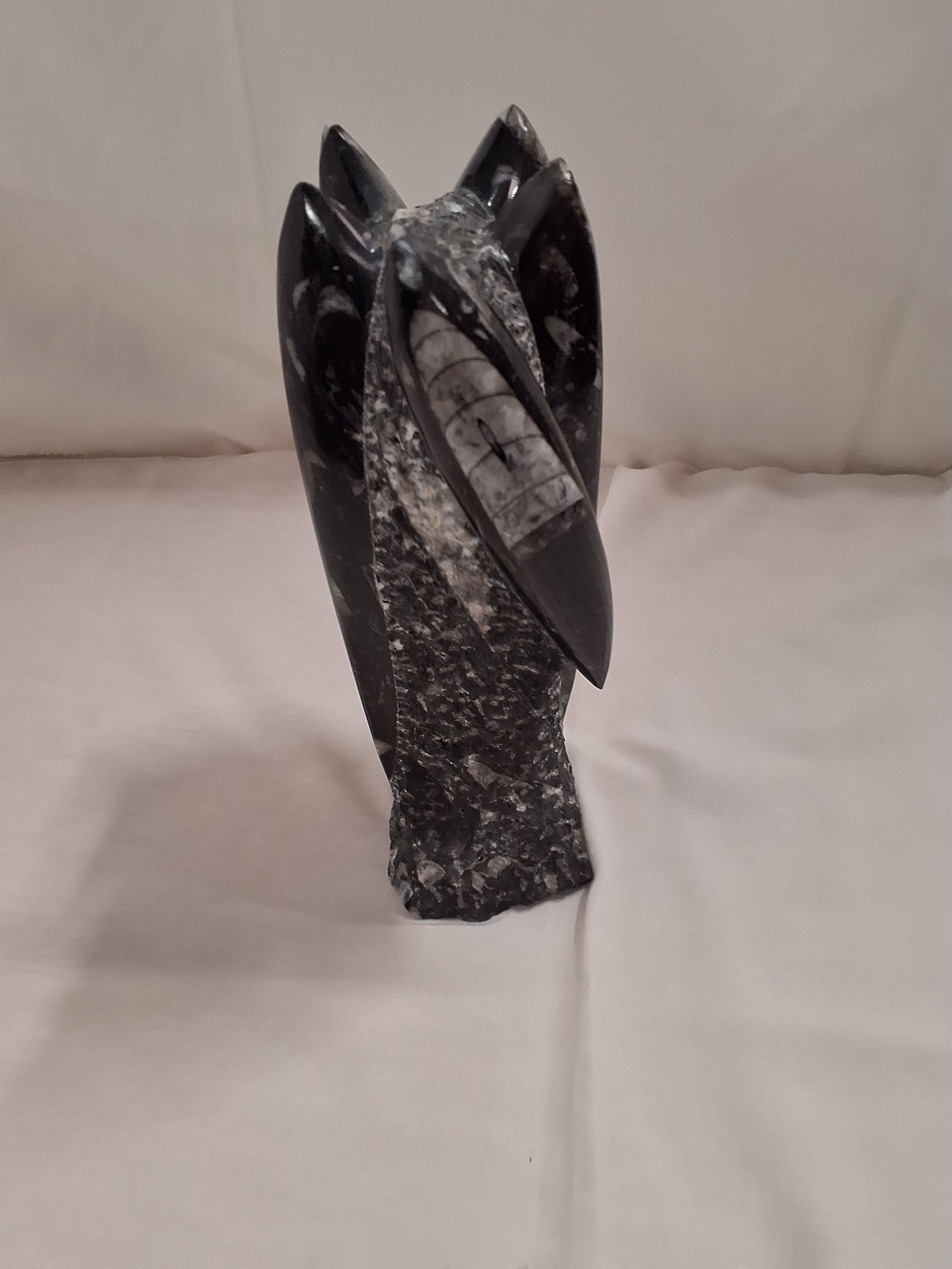 Fossil skulptur