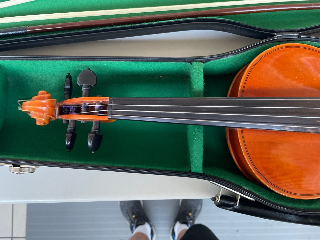 Violin