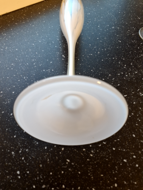 Vase vintergæk
