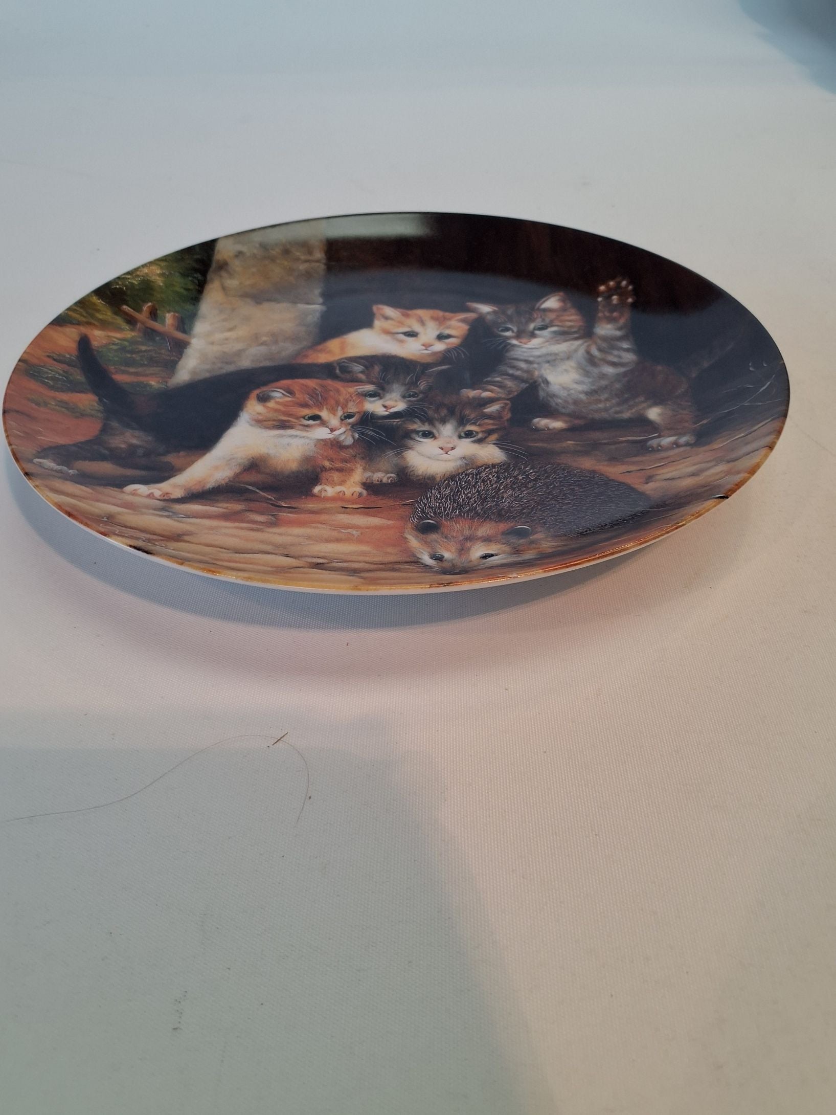 3 Wolfgang Keiser Katte platte