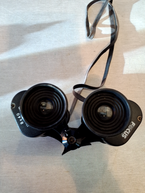 Focus Kikkert 8x40