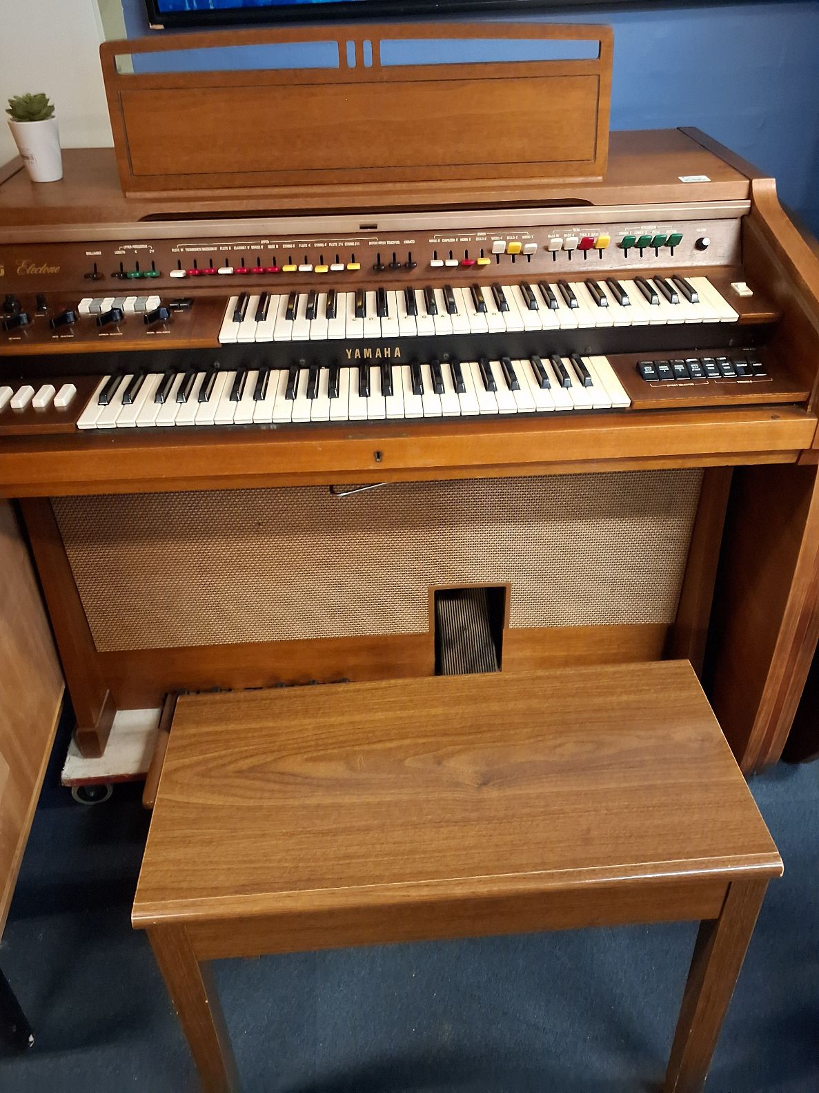 Orgel el
