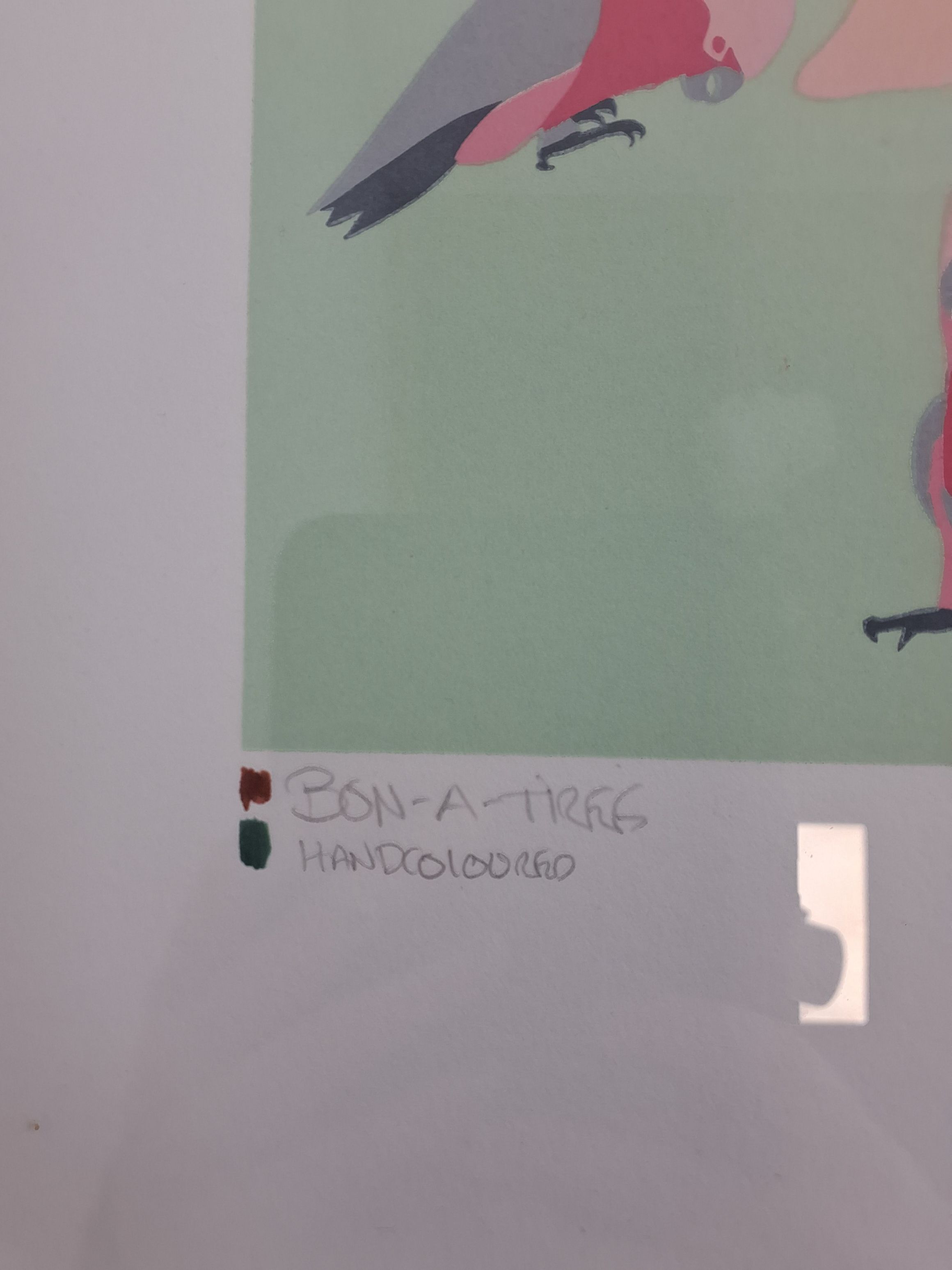 Plakat: Papegøjer i træ
