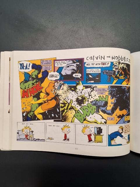 There's Treasure Everywhere A Calvin and Hobbes collection
