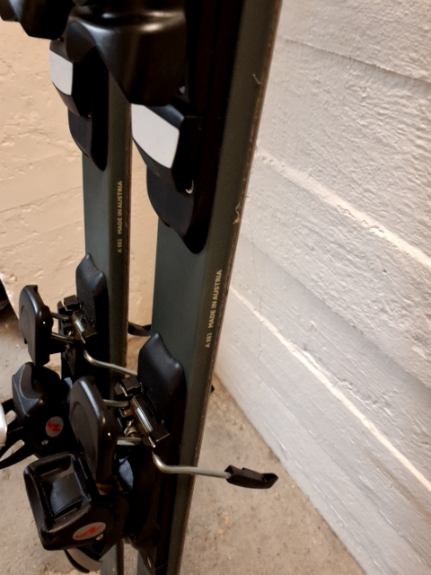 Alpine Ski Nordica