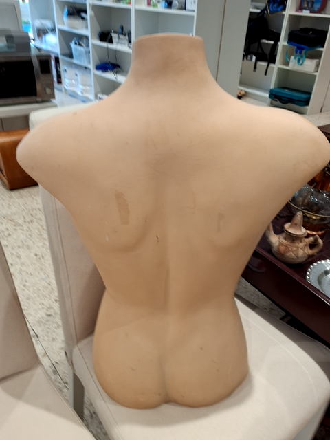 Torso mannequin