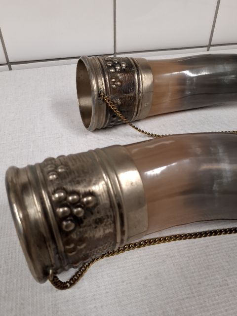 Signalhorn