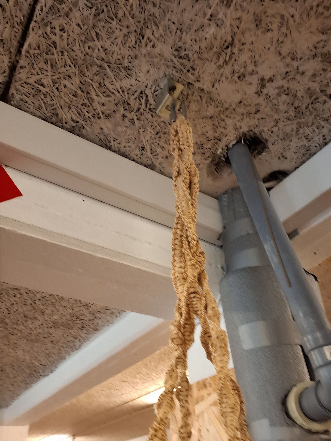 Hænge vugge