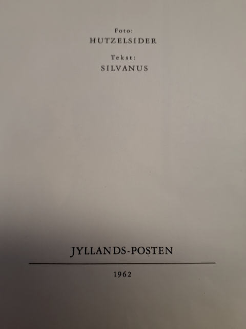 Bams og Bine fra,Jyllands posten