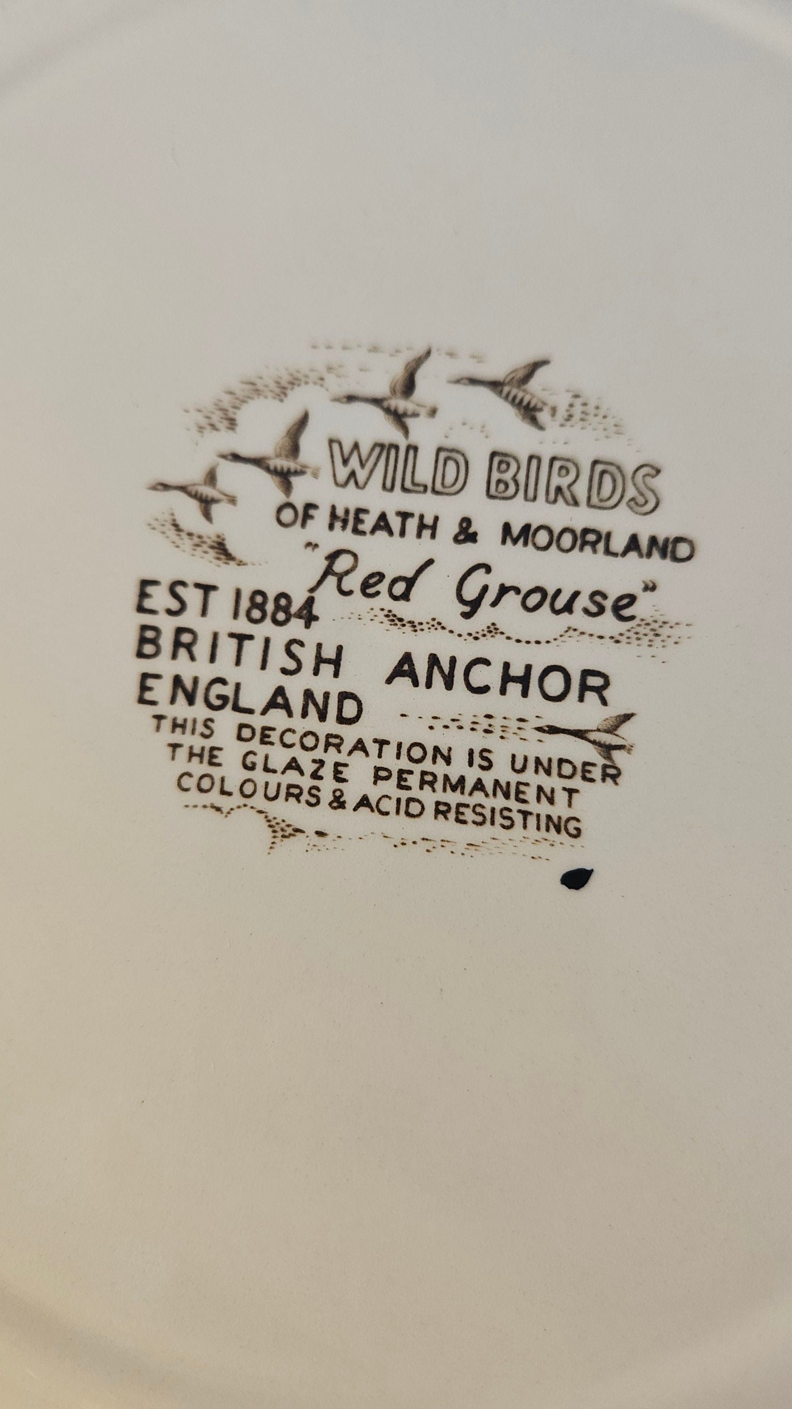 Red Grouse - Dugleplatte