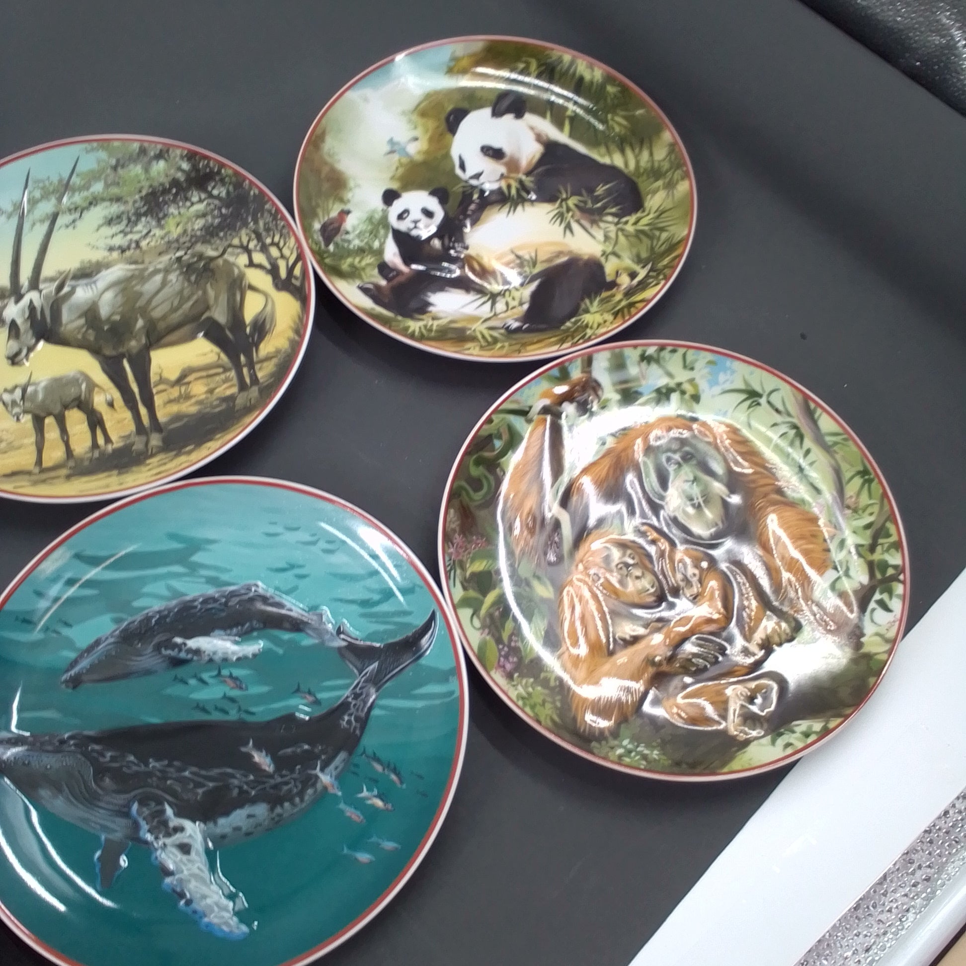 WWF platter
