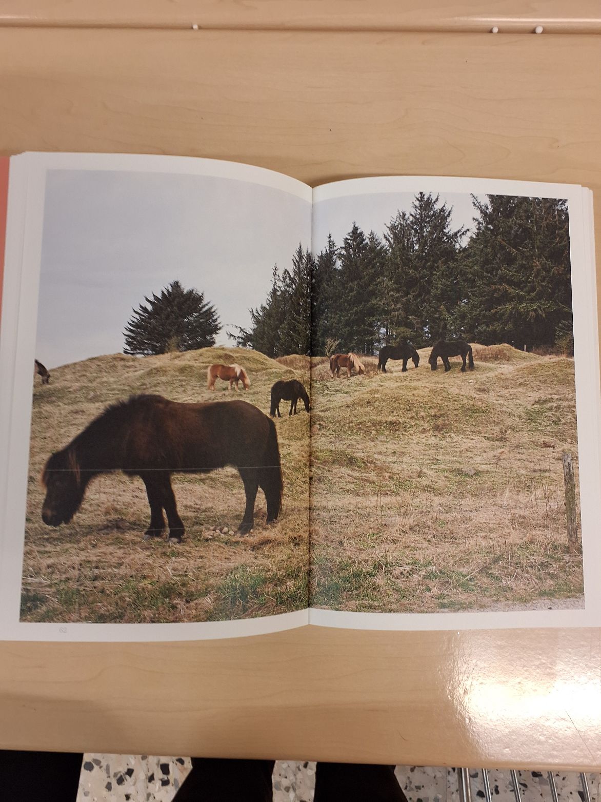En linje i verden