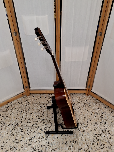 Musima Guitar