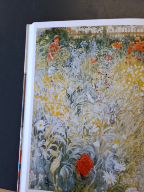 Jeg Carl Larsson En bog om det gode og det onde