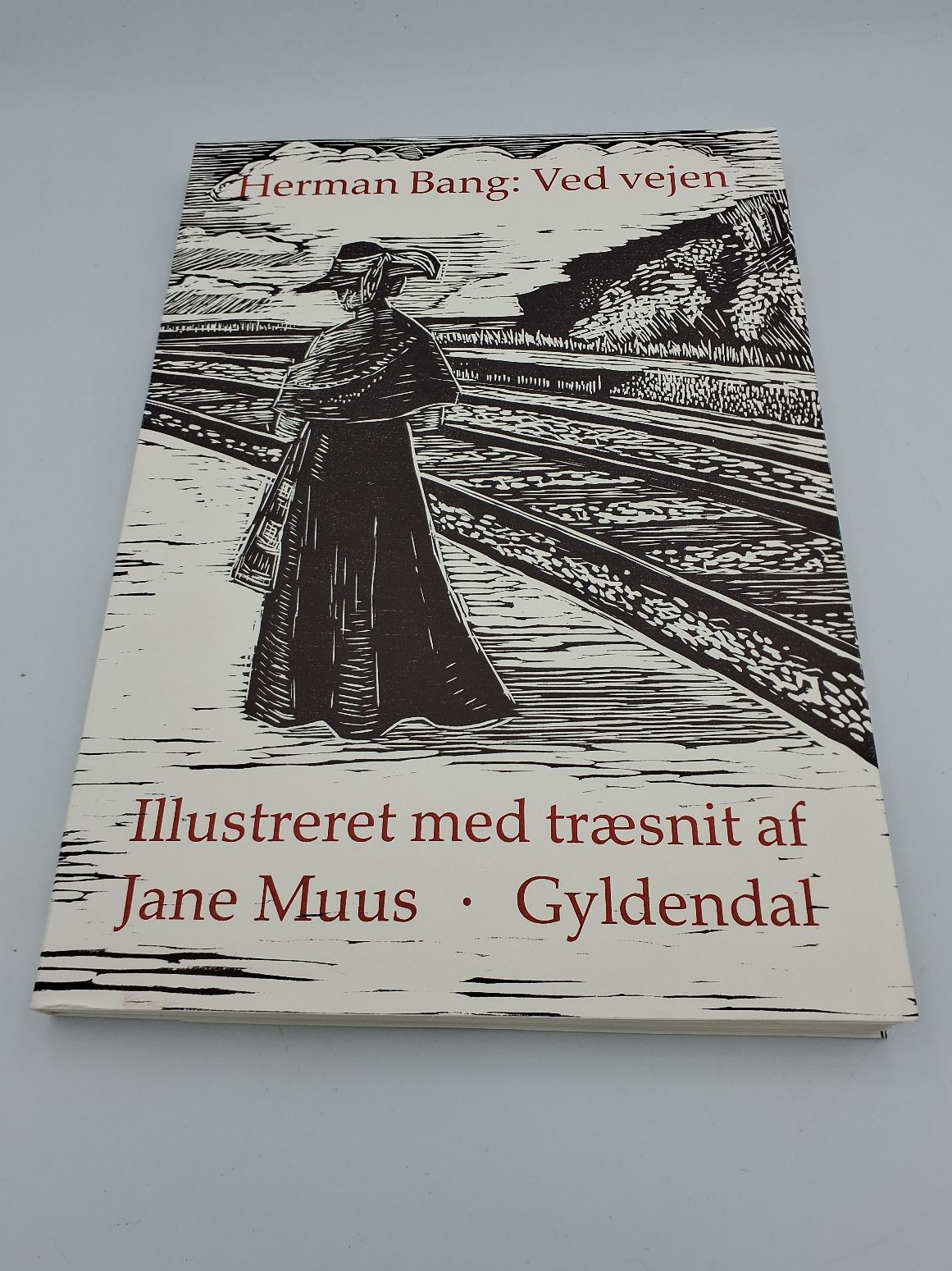 Bog: Ved Vejen