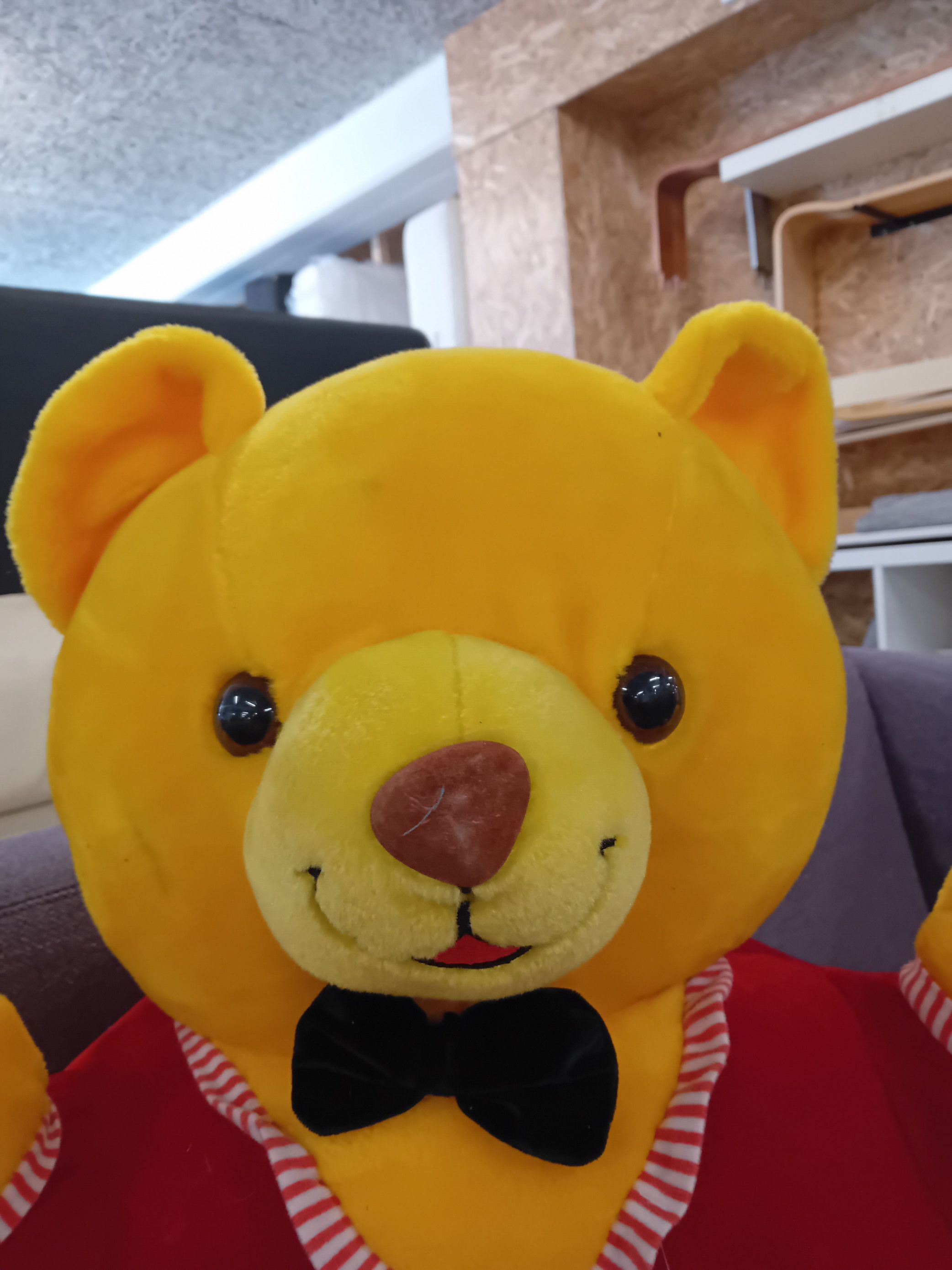 Bamse.