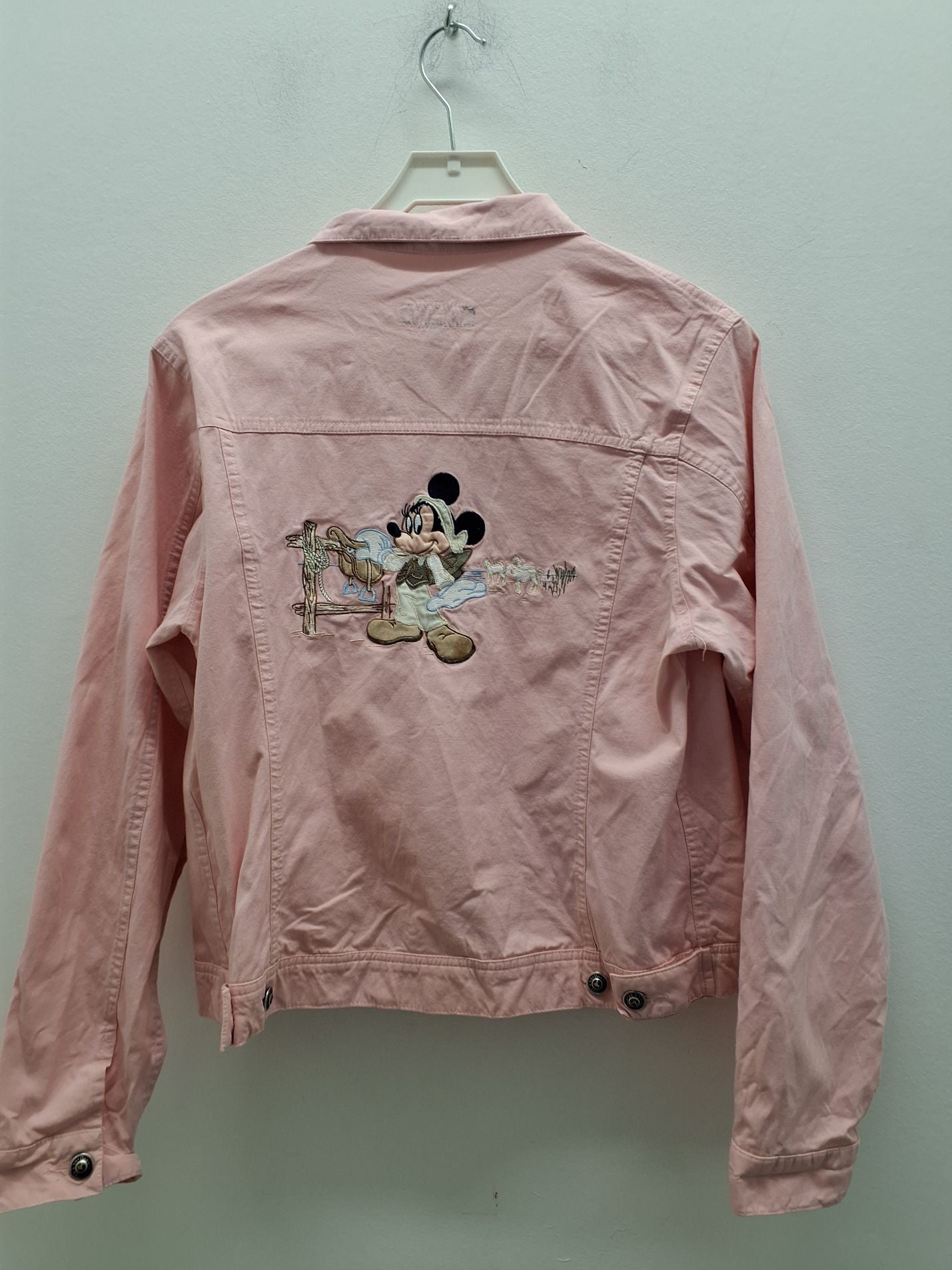 Donaldson Disney Jakke