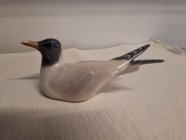 Royal Copenhagen : Måge