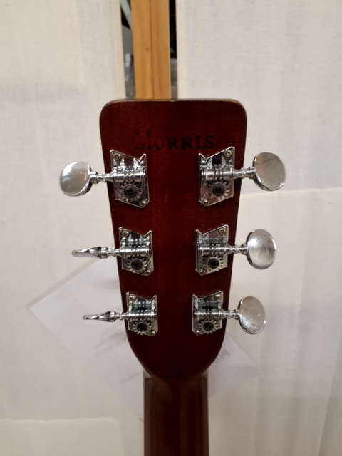 Morissette Giutar Type:F 301