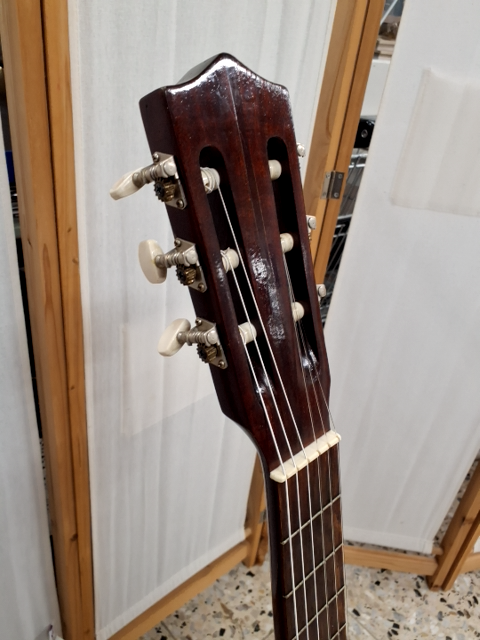 Musima Guitar