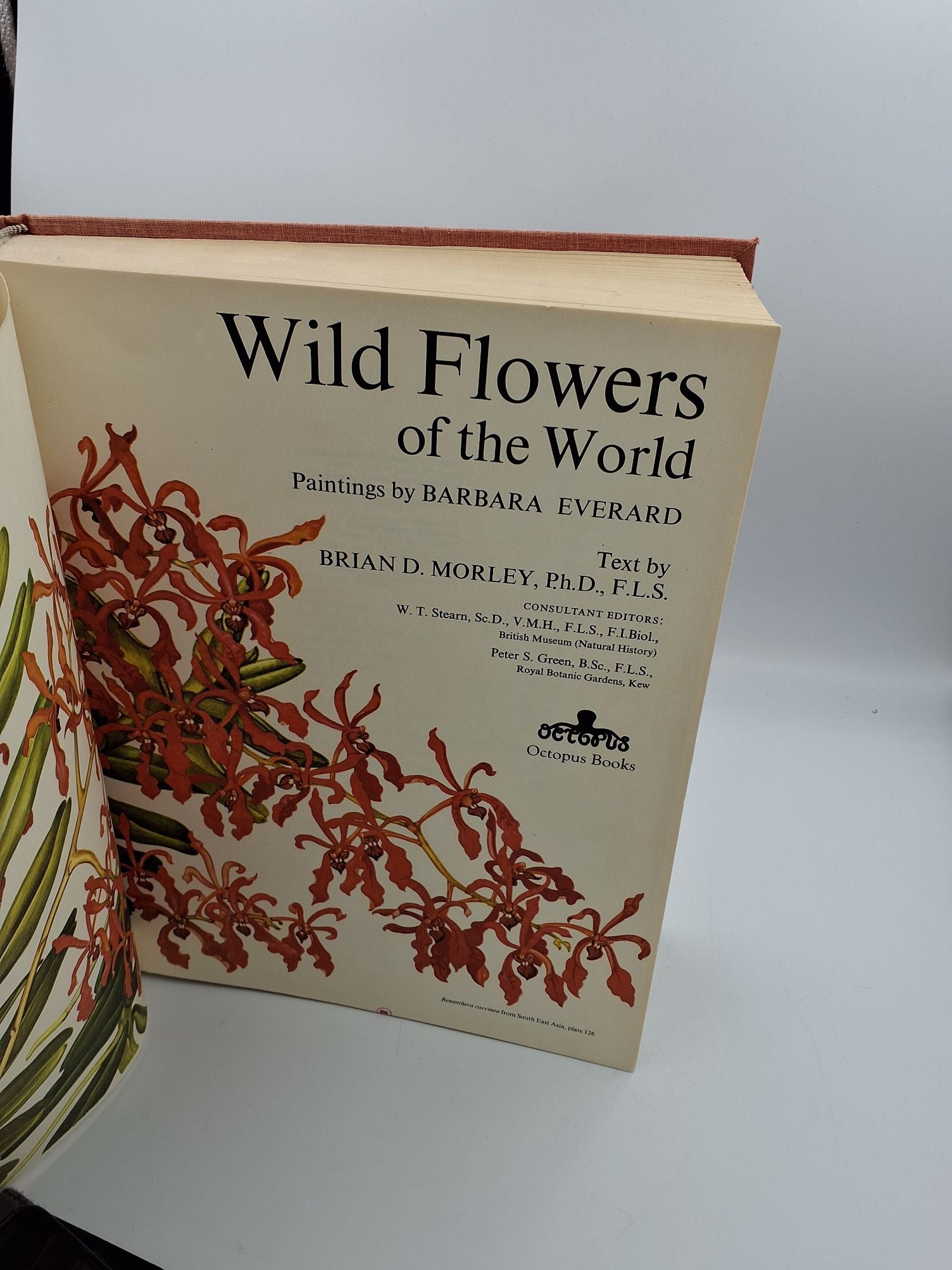 Bog: Wild Flowers of the World