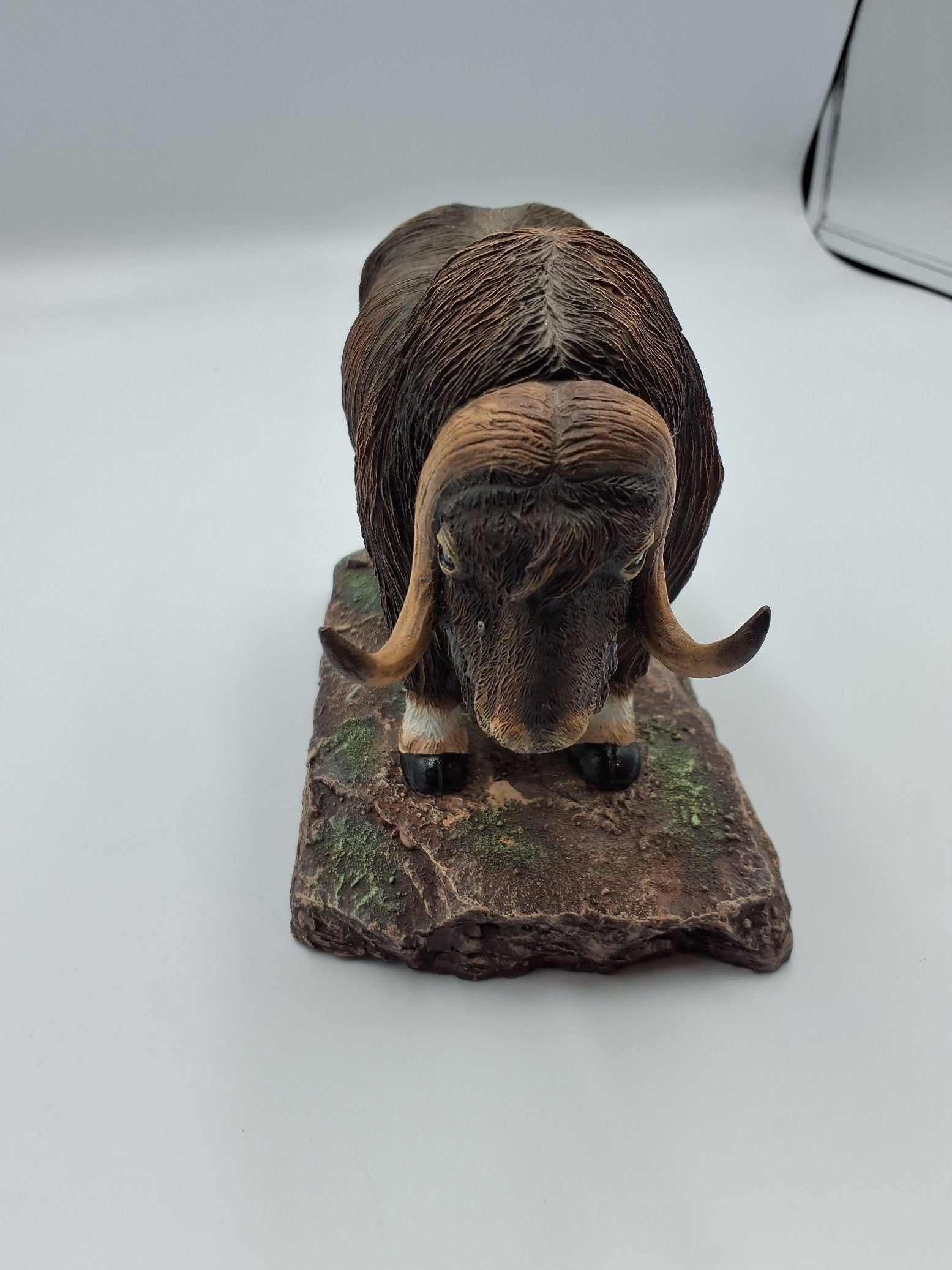 Bison okse