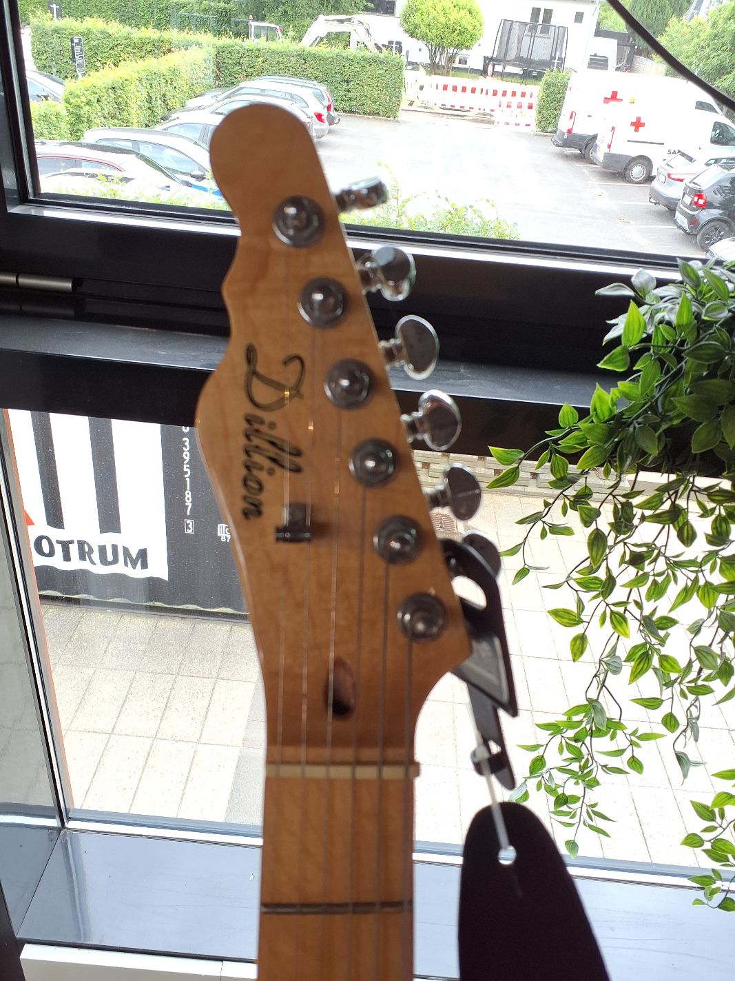 Dillion Guitar