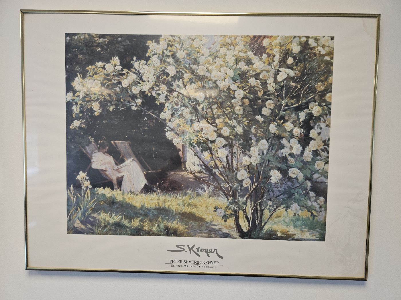 PS Krøyer Roser - Plakat