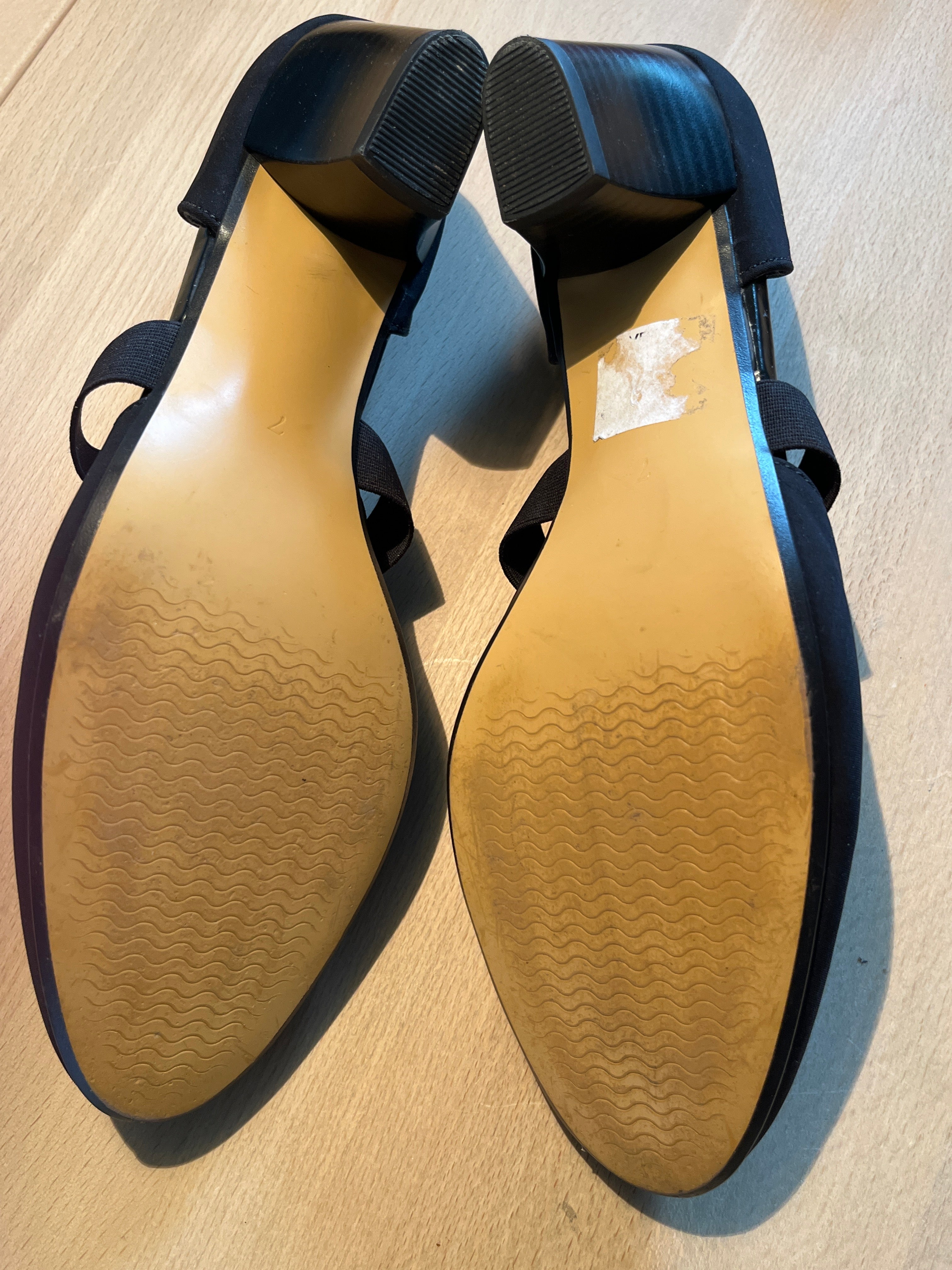 Ara Heels (h563)