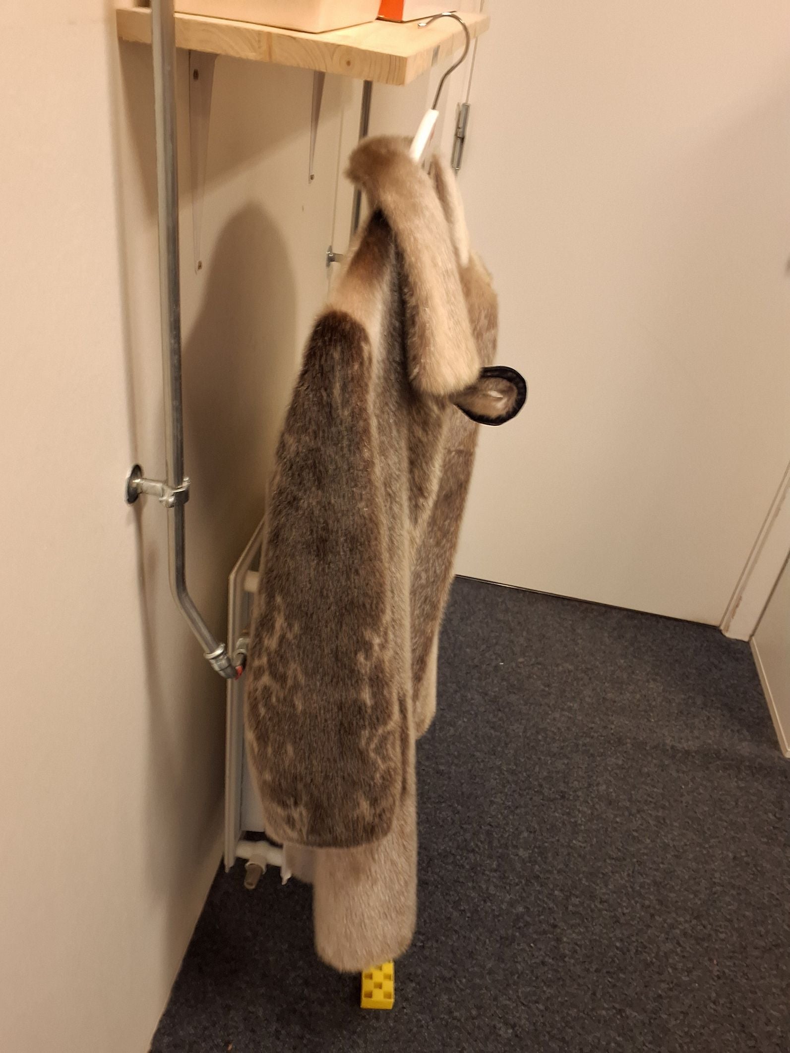 Sælpels