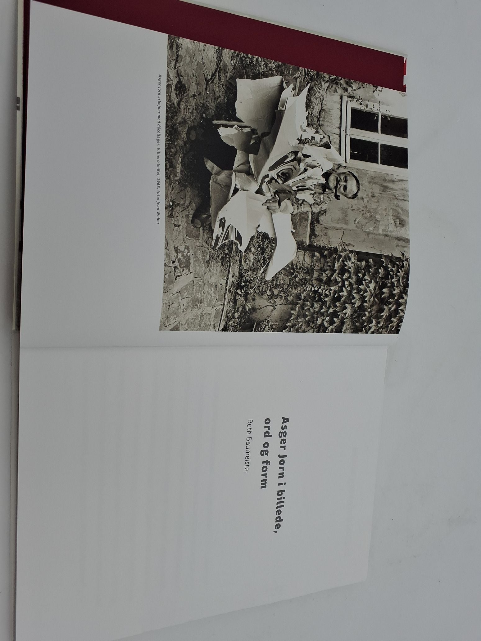 Asger Jorn i billede, ord og form, af Ruth Baumeister