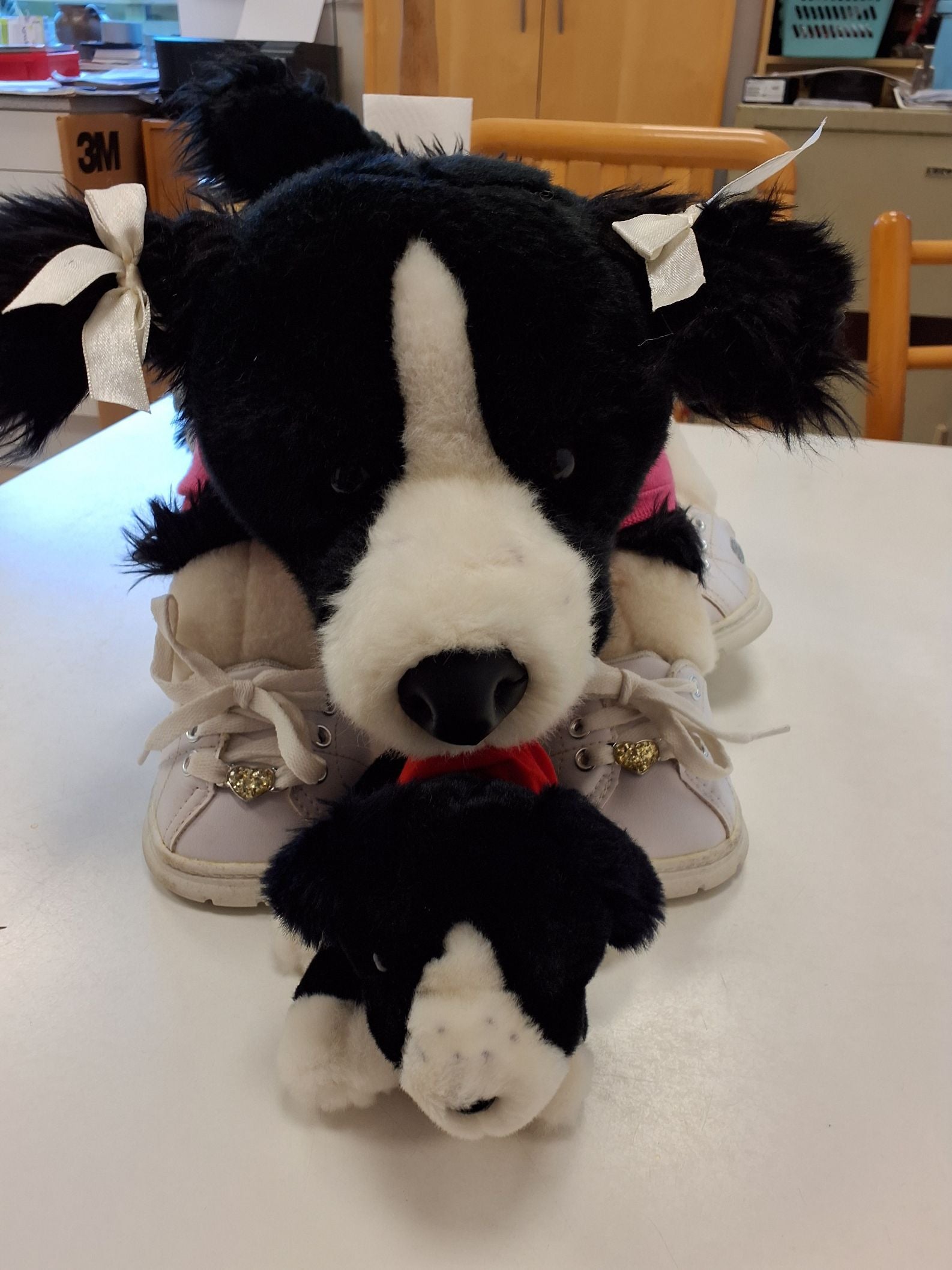 Build a  collie