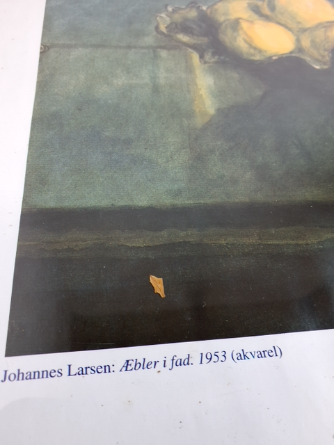 Plakat: Johannes Larsen Æbler i fad