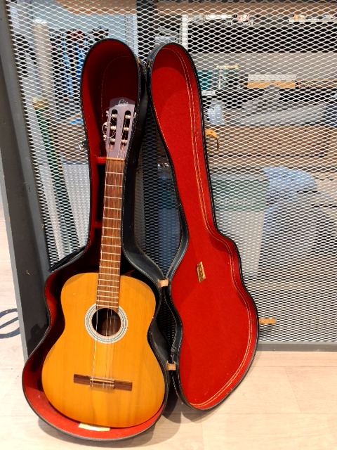 Guitar Levin med kasse