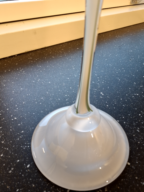Vase vintergæk