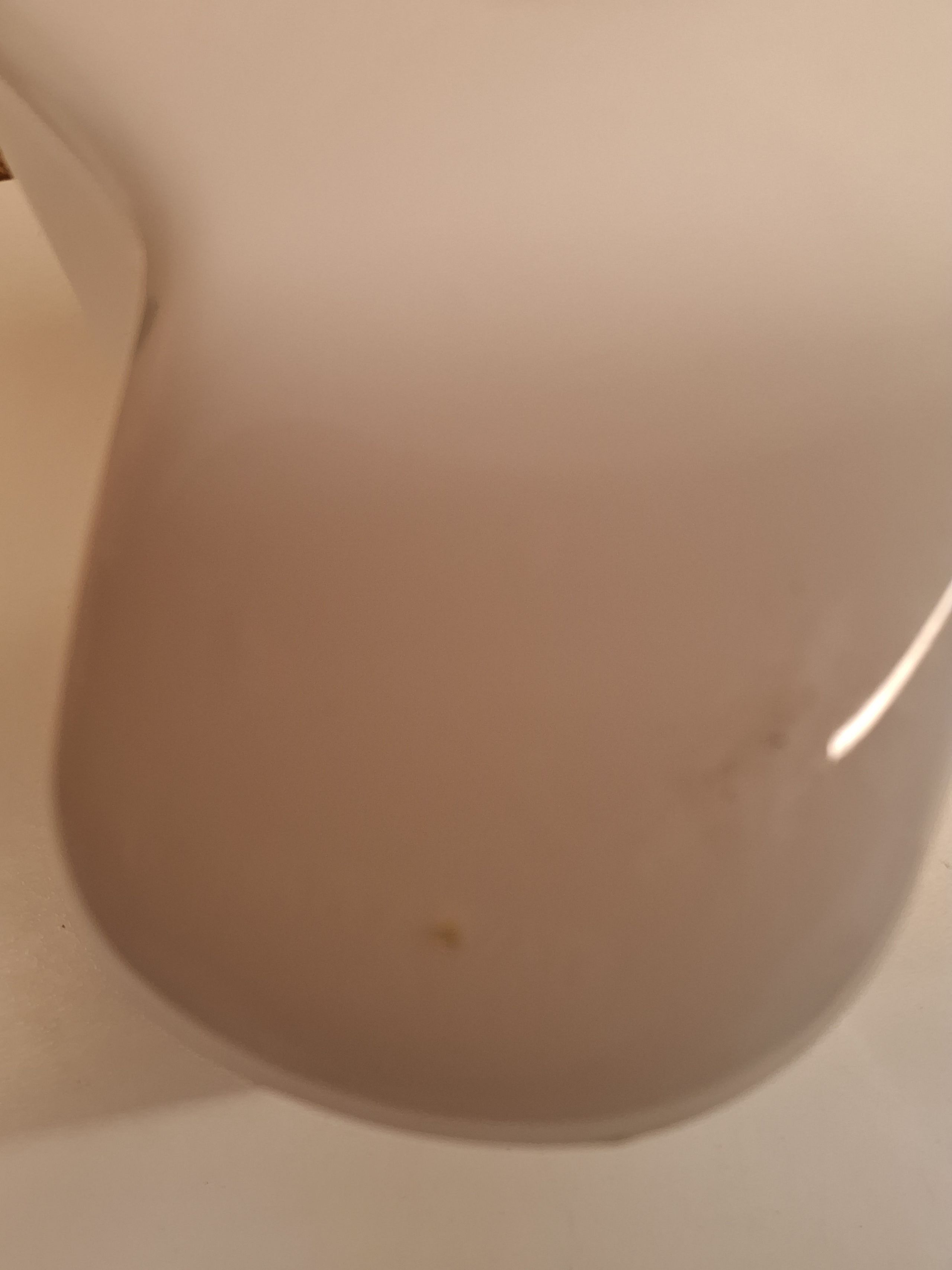 Iittala Alvar Alto vase