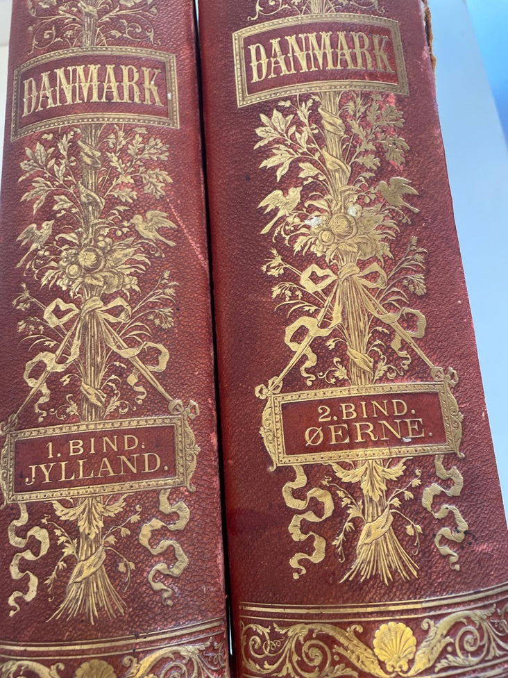 Danmark i billeder 2 bind
