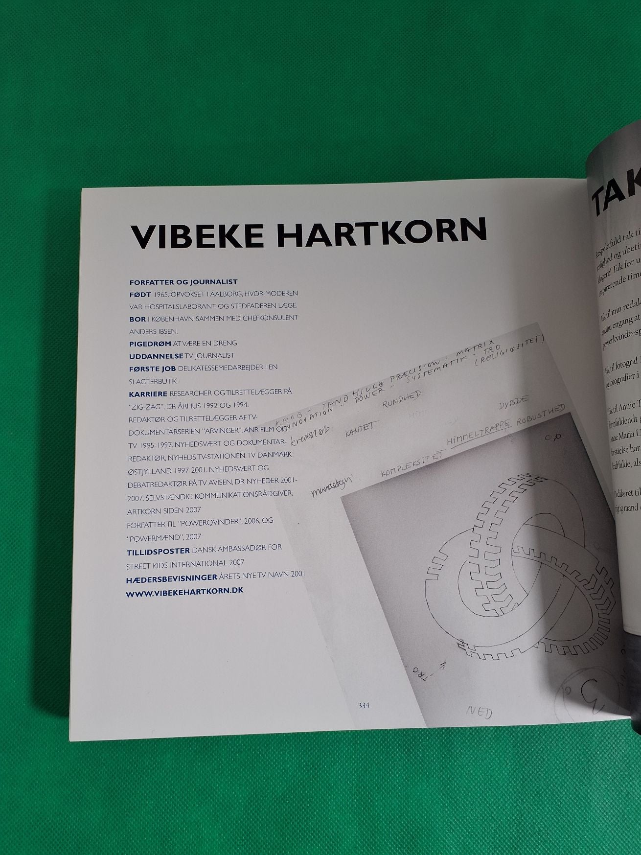 Powermænd af Vibeke Hartkorn