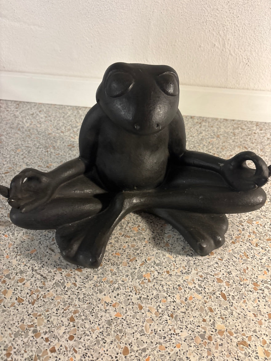 Frø figur
