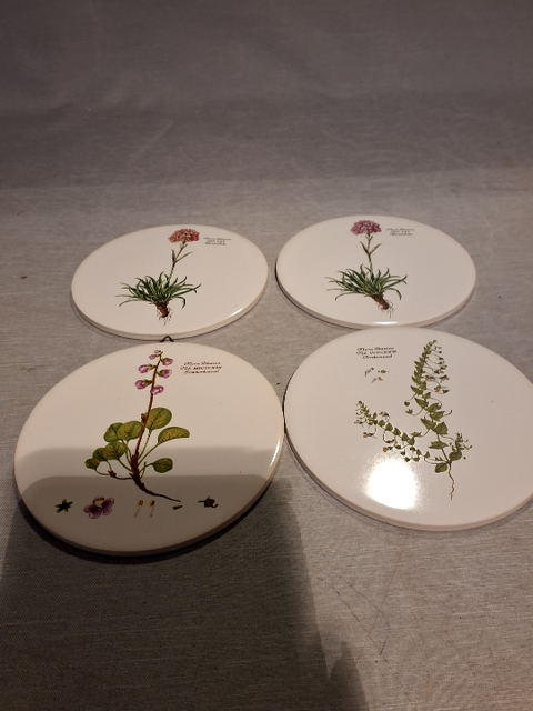 Flora Danica Platter