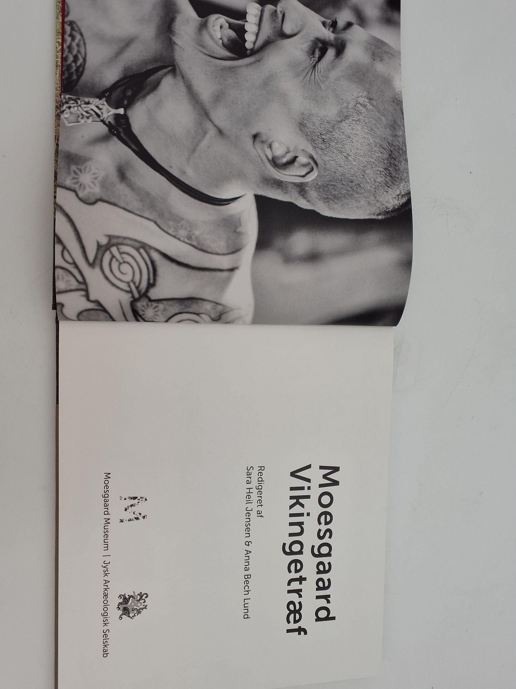 Moesgaard Vikingetræf