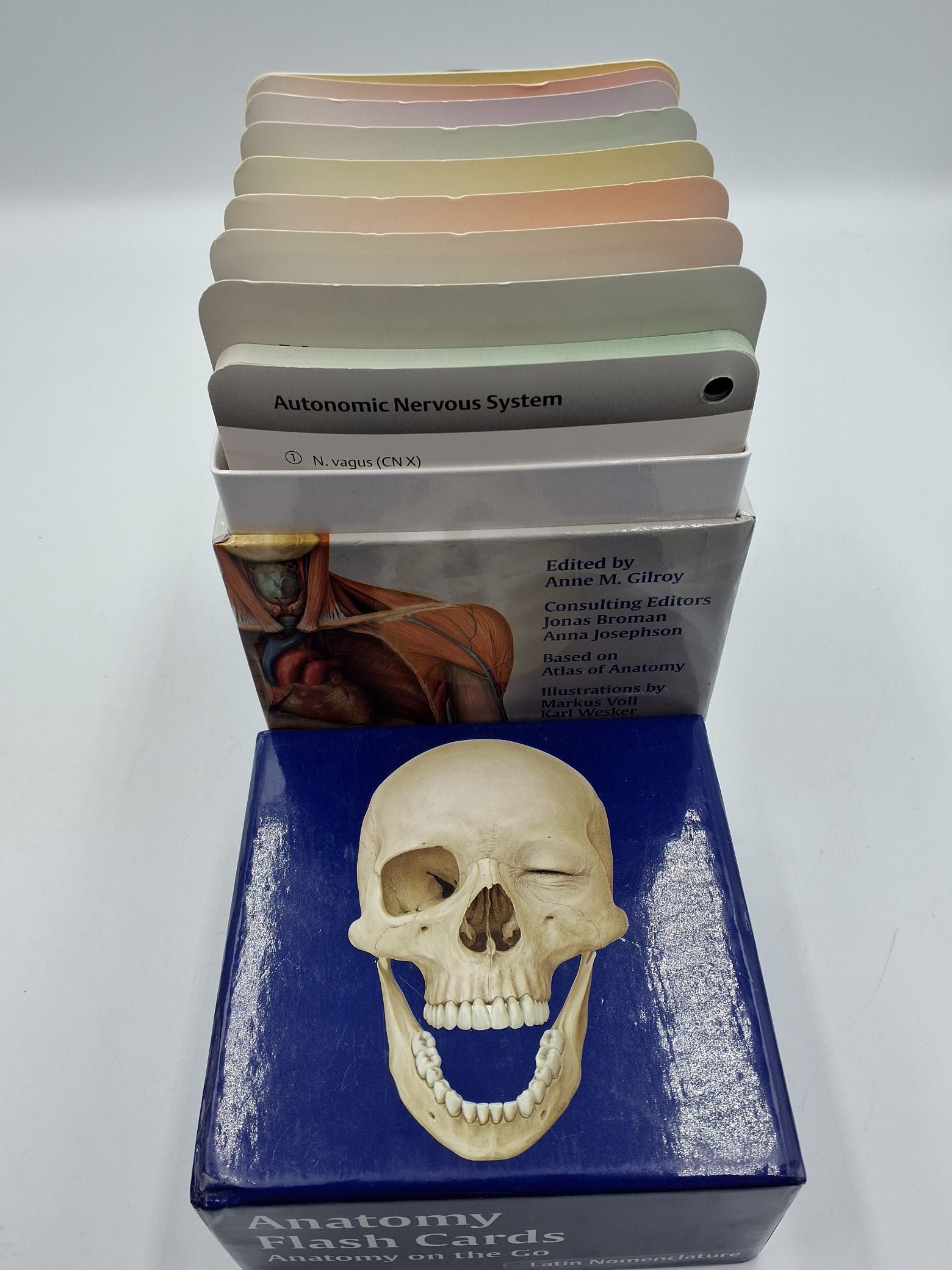 Flash Cards