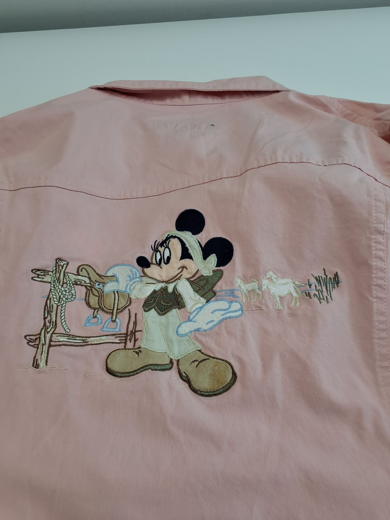 Donaldson Disney Jakke