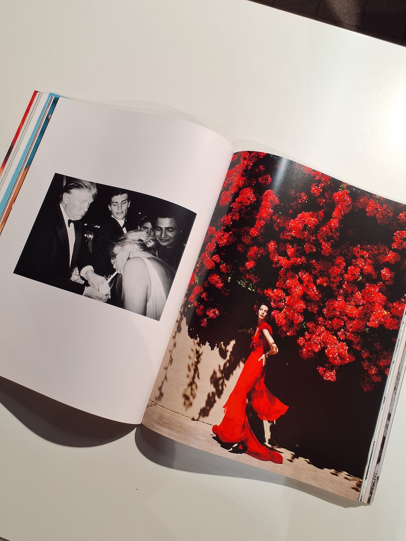 Mario Testino In your face